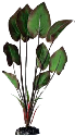 Шелк Эхинодорус бархатный 50 см – купить по низкой цене