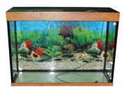 Zelaqua аквариум прямоугольный 180 л. – купить по низкой цене