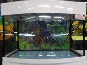 Панорамный аквариум "Аквас" 100 л. – купить по низкой цене