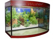 Zelaqua аквариум с тумбой панорамный 120 л. – купить по низкой цене
