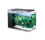 Нано-аквариум ADA (Lenyo) AQ-30,19л – купить по низкой цене