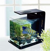 Нано-аквариум ADA (Lenyo) KQ-2720,13л – купить по низкой цене