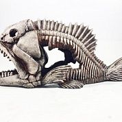 Декор Скелет Рыбы 904 – купить по низкой цене