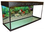Zelaqua аквариум с тумбой прямоугольный 240 л. (2)